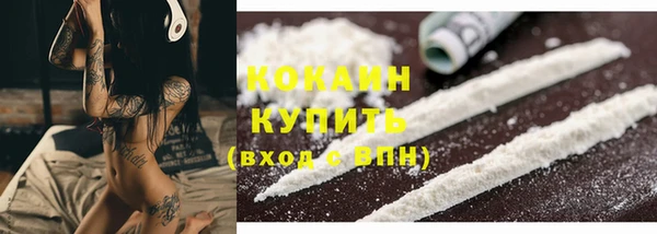 крисы Надым