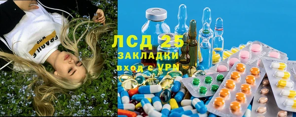 эйфоретик Алзамай
