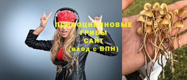 кокаин Алексеевка